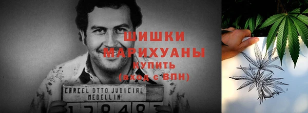 молекула духа Болохово