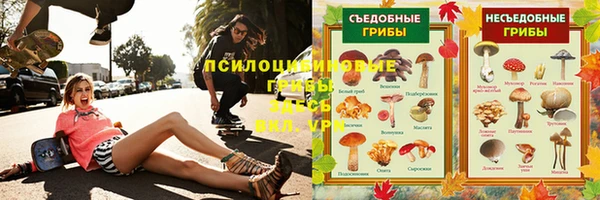 ПСИЛОЦИБИНОВЫЕ ГРИБЫ Ельня