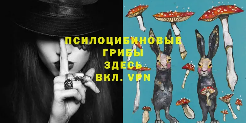 мега вход  Инза  Галлюциногенные грибы Magic Shrooms 